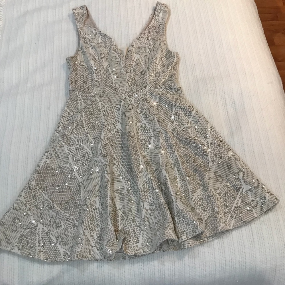 Sparkly fit and flared dress